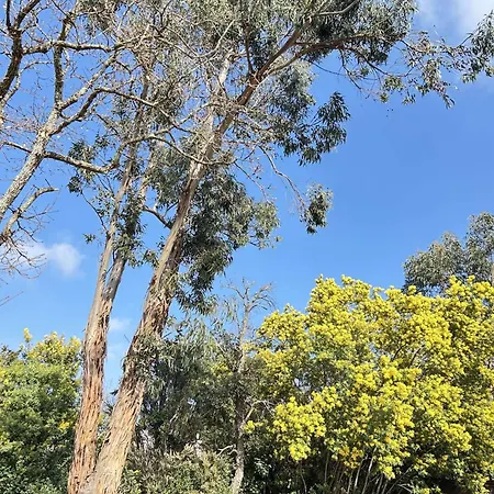 וילה Sm029-022 Maison 3 Pieces 4 Couchages