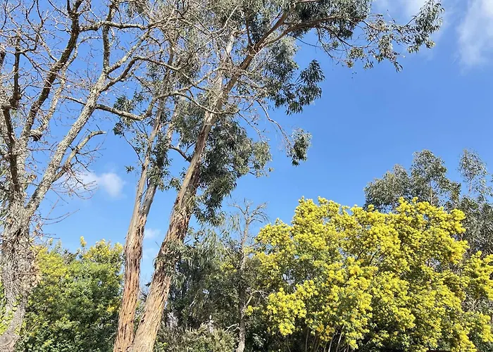 Вилла Sm029-022 Maison 3 Pieces 4 Couchages